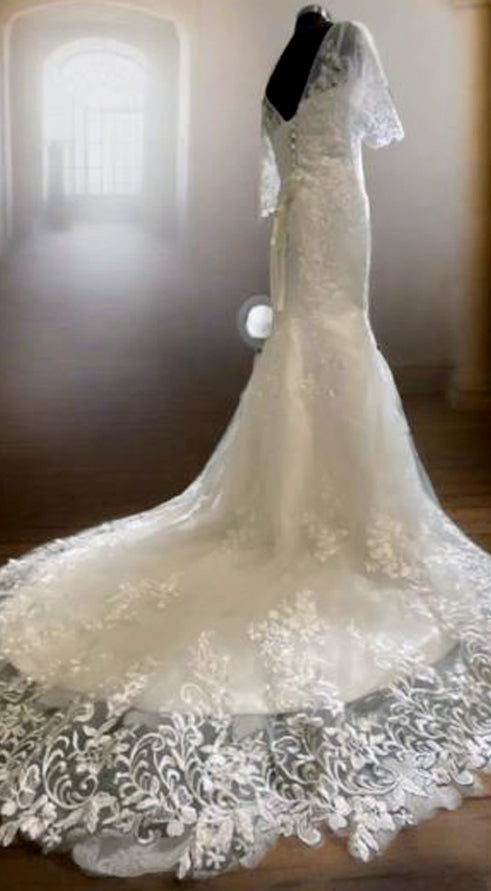 Bridal Mermaid Gown White Color With Sleeves