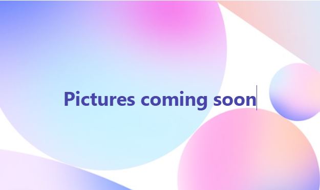 Wedding Rental Gowns